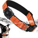 Upgraded AirTag Dog Collar, IP68 Waterproof Air Tag Dog Collar Holder, Reflective, Ultra-Durable, Comfortable Padded, Heavy Duty Dog Collars for Small Medium Large Dogs (L (14.8"-20.3"), Orange)
