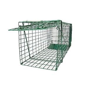 26" Folding Collapsible Humane Live Animal Cage Trap No-Kill Trapping Kit for Humane Catch Release Rabbits, Stray Cat, Squirrel, Raccoon, All Fit Sized Animals, Heavy Duty, 2-Door Hidden Green