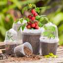 homenote Clear Nursery Pots for Plants,3 Inch Plant Pot for Planting with Humidity Domes Plastic Seedling with Drainage Holes Seed Starter Flower High Transparency (30 Pack)