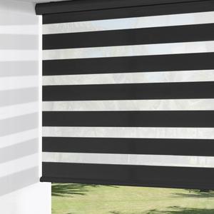 ChrisDowa Cordless Zebra Blinds for Windows, Dual Layer Free-Stop Light Filtering Window Roller Shades, Pull Down Privacy Zebra Shades for Home, Office, Bedroom, Door (55" W x 72" H, Black)