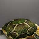 Wearable Turtle Shell Pillows Tortoise Plush Pillow Creative Turtle Shell Stuffed Animal Costume Plush Toy Funny Dress Up Creative Gifts for Boys and Girls (40IN)