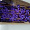Sggvecsy 10 Pcs 29.5 Long Artificial Jasmine Flowers Tall Fake Flower Bouquet Faux Jasmine Plants Dry Branches for Wedding Home Party Office Hotel Restaurant Kitchen DecorationDark Purple