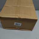 DN DECONATION Artificial Christmas Norfolk Pine Stems, Faux Pine Branches 22.4" 12PCS - Real Touch PE Greenery Fake Pine Needles for Vase Arrangements, Winter, Holiday Indoor Outdoor Home Decor (Set of 12, Green57)