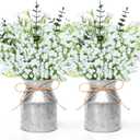 2 Pack Babys Breath Flowers Mason Jar Table Centerpiece, Artificial Babys Breath Flowers Eucalyptus Leaves Stems Faux Silver Dollar Bouquets for Summer Farmhouse Table Centerpiece Home Wedding Decor
