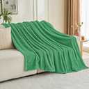 Throw Blanket for Couch - Flannel Fleece 3D Striped Ribbed Bed Blanket.Super Soft Blankets for Women Girls,Teacher Gifts Birthday Gifts Room Home Dorm Decor (Green, Throw(50"x60"))