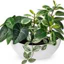 Fake Plants 11.8" Artificial Potted Plant Assorted Faux Plants in Pot Silk Plants Artificial Plants Indoor for Home Living Room Bedroom Bathroom Office Desk Table Centerpieces Shelf Greenery Decor