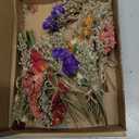 10 Pack Dried Flowers for Vase Various Mini Bouquet Dried Small Wildflowers Natural Real Flowers Bulk for Crafts DIY Wedding Decor (10, Classic Color1)