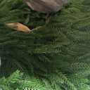 24" Norfolk Pine Christmas Wreath for Front Door  Large Artificial Greenery Wreath for Wall, Porch, or Indoor Outdoor Holiday Decor  Real Touch Pine Foliage (1, 24")