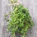 10 x Seeds Summer Savory Heirloom Herbs for Planting Non GMO 800 Seeds