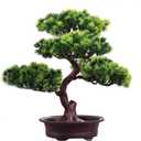 KOET Artificial Bonsai Pine Tree, 11Inch Faux Potted Plant Desk Display Fake Tree Pot Ornaments, Japanese Cedar Bonsai Plant for Home, Office Decoration