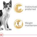 Royal Canin Feline Health Nutrition Adult Instinctive Adult Thin Slices in Gravy Cat Food, 3 oz (Pack of 24) (EXP 05/06/27)