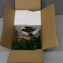 DILATATA Fake Bonsai Tree Zen Juniper Plant 10' Tall Artificial Bonsai with White Ceramic Pot Decorated with Pebbles Indoor Bonsai for Home Office Decor