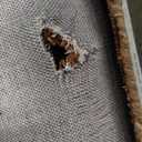 Loloi Leanne Ford Craven Collection CVN-02 Spice/Rose 9'-3" x 13' Area Rug Geometrical, Patterned, Neutral, Living Room, Bedroom, Dining Room