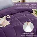 JOLLYVOGUE Queen Comforter Set, Ultra-Soft Bed in a Bag Queen Size 7 Pieces, Oeko-TEX Certified Bedding Set with Down Alternative Comforter, Sheets, Pillowcases & Shams, Purple & Lavender
