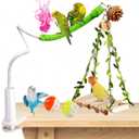 Bird Perch Stand with Swing, Desktop Bird Toy & Stand for Interacting, Interactive Playground for Sun Conure, Lovebirds, Conure, Budgie, Cockatiel - Non-Slip Adjustable Perch