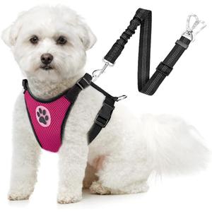 SlowTon Dog Seat Belt Harness for Car, Dog Car Harness Adjustable Mesh Breathable & Dog Seatbelt Safety Tether with Elastic Bungee for Small Medium Large Pets(Fuchsia, Double Clip, XS)