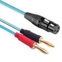 Gotor XLR to Banana Speaker Cable - 3.28ft (XLR Female)