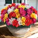 8 Bundles Artificial Camellia for Front Door Outside - Faux UV Resistant Real Looking Camellia Flowers Fake Silk Bouquets Plants for Garden Window Farmhouse Home Spring Summer Decor (Mixed Color)