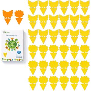 Garsum Fruit Fly Sticky Trap for Indoor and Outdoor, 36 Pack Fungus Gnat Killer for Houseplant,Mosquitos, Flying Insect, White Flies