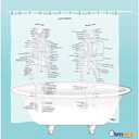 Human Skeleton Shower Curtain - EVA Vinyl, 71" x 71"