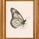Netrorin Vintage Gold Framed Wall Art for Living Room, Butterfly Canvas Wall Print for Bedroom, Animal Painting Home Decor, Shelf Decor for Kitchen, Wall Decor Gifts For Friends or Family -【Butterfly】-(10L x 8W)