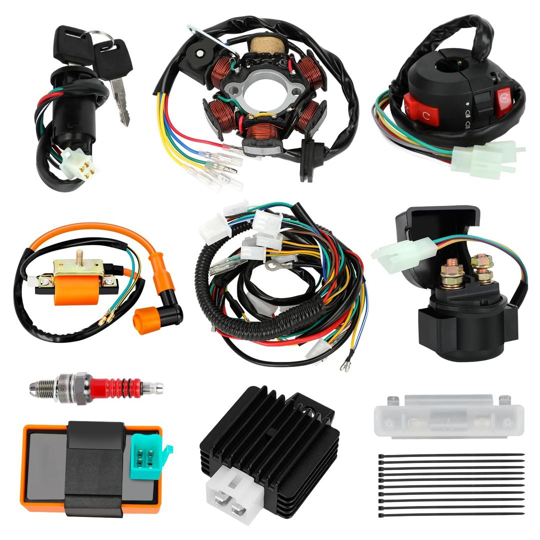 Complete Wiring Harness Kit Compatible with Tao tao Coolster 110cc 125cc Chinese ATV Quad 4 Wheeler 4 Stroke Parts with Ignition Coil Relay Solenoid Voltage Regulator CDI Box Stator Starter
