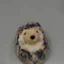 Douglas Spunky Hedgehog Plush Stuffed Animal