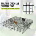 Squirrelinator Metal Wire & Heavy Duty, 2 Door Humane Live Squirrel Catch & Release Cage Trap, Holds up to 25 Squirrels, 1 Trap