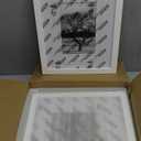 Egofine 8x10 Picture Frames Set of 4, Made of Solid Wood Covered by Plexiglass 4x6 and 5x7 with Mat or 8x10 without Mat, for Table Top Display and Wall Mounting Photo Frame White