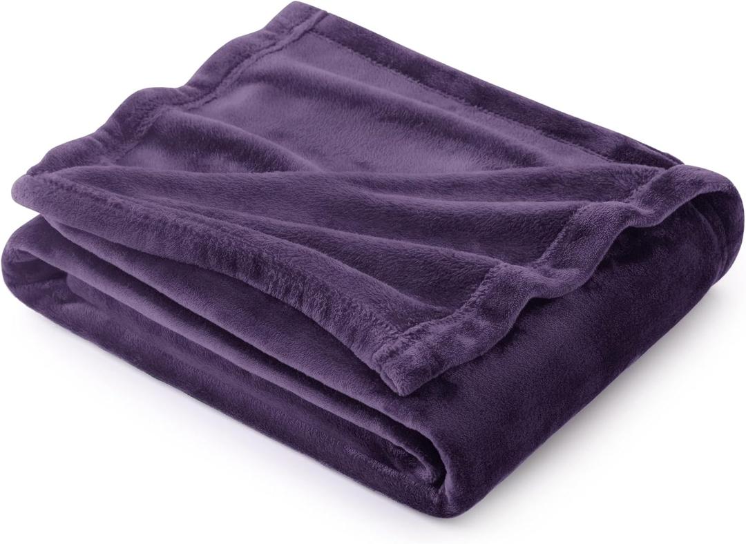 Bedsure GentleSoft Fleece Blanket Twin Size Purple - 300GSM Lightweight Plush Fuzzy Cozy Soft Warm Blanket for Bed, Sofa, Couch, Travel, Camping, 60x80 inches