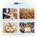 2 Cotton Twin XL Fitted Sheets, 400 Thread Count 100% Cotton Fitted Sheets Sateen, Twin XL Size Fitted Sheet with Deep Pockets (Bright White)