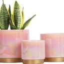 Gepege Indoor Pots for Plants, Ceramic Planter with Drainage Hole, 9.6inch+7.6Inch+6Inch. Succulent Orchid Flower Pot - Rainbow Pearl Glaze (10+8+6inchs, Pink)
