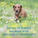 Nutramax Laboratories Denosyl for Dogs, Liver and Brain Health Supplement for Medium Dogs, with S-adenosylmethionine (SAMe), Stabilized Tablets, 30 Count
