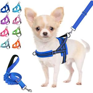 Lukovee No Pull Dog Harness and Leash Set, Soft Padded Small Dog Harness, Neck & Chest Adjustable Reflective Vest Puppy Harness with 4ft Lightweight Anti-Twist Dog Leash for Small Dogs (XXS, Blue)