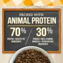 Merrick Purrfect Bistro Grain Free Natural Dry Cat Food For Adult Cats, Real Chicken And Sweet Potato Recipe - 12 lb. Bag (EXP 06/01/27)