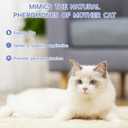 2 x Cat Calming Spray, Pheromone Diffuser Spray for Stress Relief, Reduce Scratching & Spraying, Travel and Home Use (1 PCS)