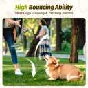 Nobleza Squeaky Tennis Balls for Dogs, 12 Pack 2.5" Floatable, Small Medium Dogs, Training, Natural Rubber, Rainbow