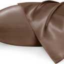 Bedsure Satin Pillowcases, Similar to Silk Pillow Cases Queen Size Set of 2, Pillow Case for Sleeping Women with Envelope Closure, Gifts for Women Men, Beaver Fur, 20x30 Inches, 2pcs