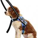Protective Halo Harness for Blind Dogs,Adjustable Protective Ring Collar Vest, Safe Walking Navigation Aid for Visually Impaired Dogs (13"-17")