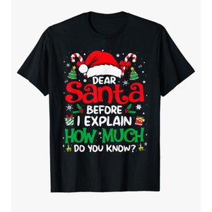 Funny Christmas Kids Adults Dear Santa Before I Explain T-Shirt, Kids 4