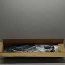 4.5FT Artificial Palm Tree,Faux Areca Palm Plant with Real Touch Leaves and Adjustable Branches,Fake Tropical Palm Tree for Home Office Indoor Outdoor Modern Decoration