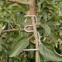 Fruit Tree Branch Puller 50pcs, Fruit Tree Branch Limb Spreader Fruit Tree Branch Garden Bonsai Puller Tying Machine Plants Branch Bending Tools (M5.1IN)