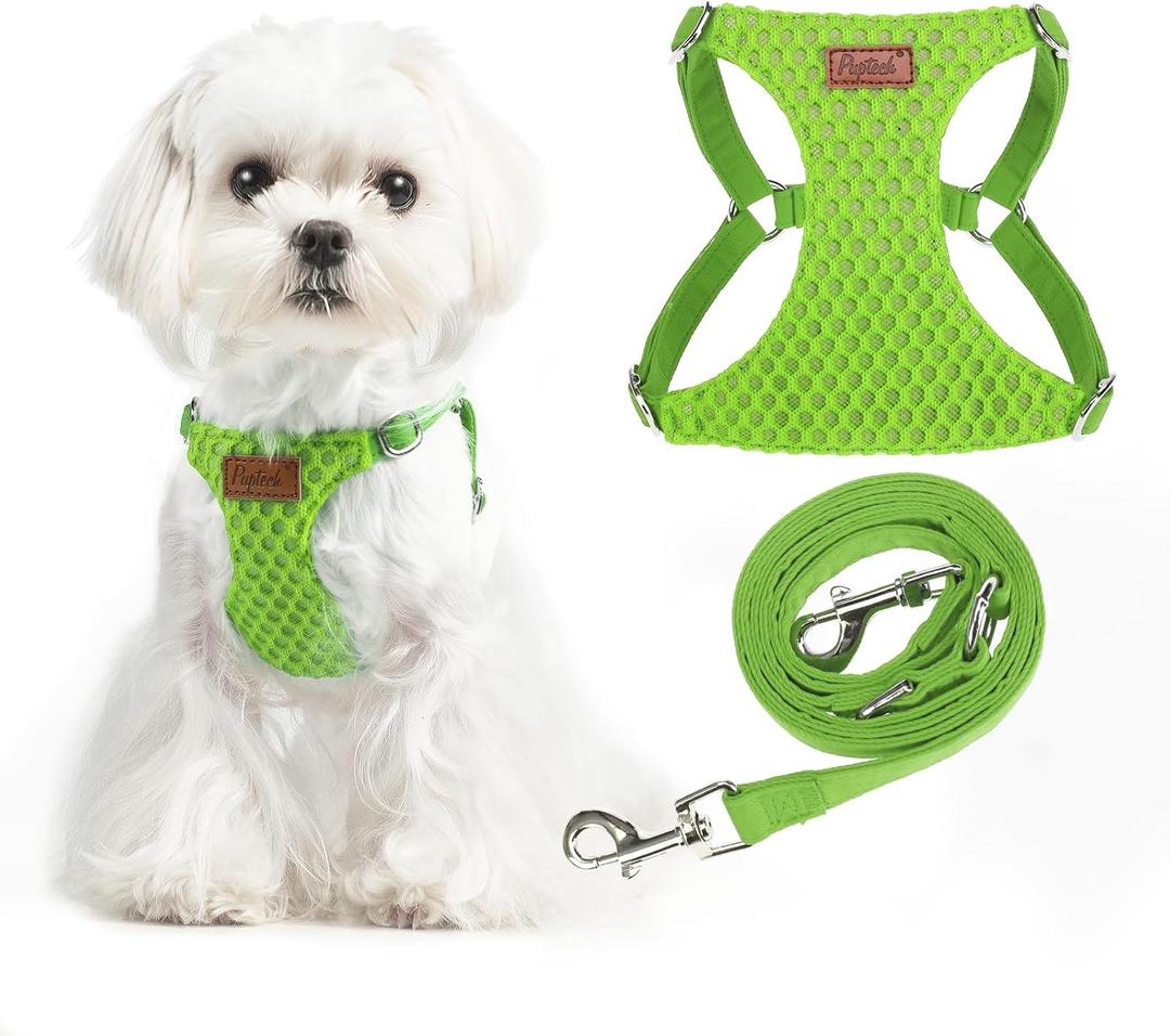 PUPTECK Dog Harness and Leash Set Small Sized, Step-in Cute Puppy Harness, Soft Lightweight Padded Vest, Escape Proof No Pull Pet Harnesses Easy for Walking, Green, XXS