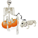 NEROSUN 5.4FT Halloween Skeletons Decoration, Posable Life Full Size Skeleton with Dog Skeleton, Realistic Plastic Human Bones for Halloween Props Haunted House Graveyard Party Decor