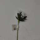 Spring Decor Pick 5 Pack