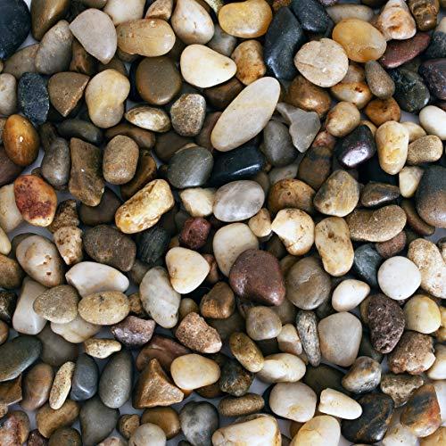 5 lbs Approx. 430 River Rocks Stones for Plants Pebbles for Indoor Plants | Aquarium Fish Tank Rocks | Polished Decorative Rocks for Vases (0.3-0.6 Inches)