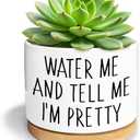 Kwtzkuo Water Me and Tell Me I'm Pretty - Cute Ceramic Planter Pot with Drainage Hole, Home Office Funny Small Succulent Cactus Pot for Women, Friends, Coworker, Plant Lovers
