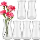 Thenshop 6 Pcs 8'' Tall Clear Flower Vase Wide Mouth Crystal Glass Boho Decorative for Centerpieces Bulk Tall Vase for Flower Bouquets Rustic Home Decor Wedding Housewarming Gift (Clear)