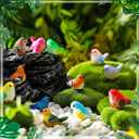 Wenqik 50 Pcs Mini Resin Bird Figurines Miniature Small Birds Figurines Realistic Animal for Fairy Terrarium Craft Garden Accessories Home Ornament Micro Landscape Birthday Cake Topper Decor