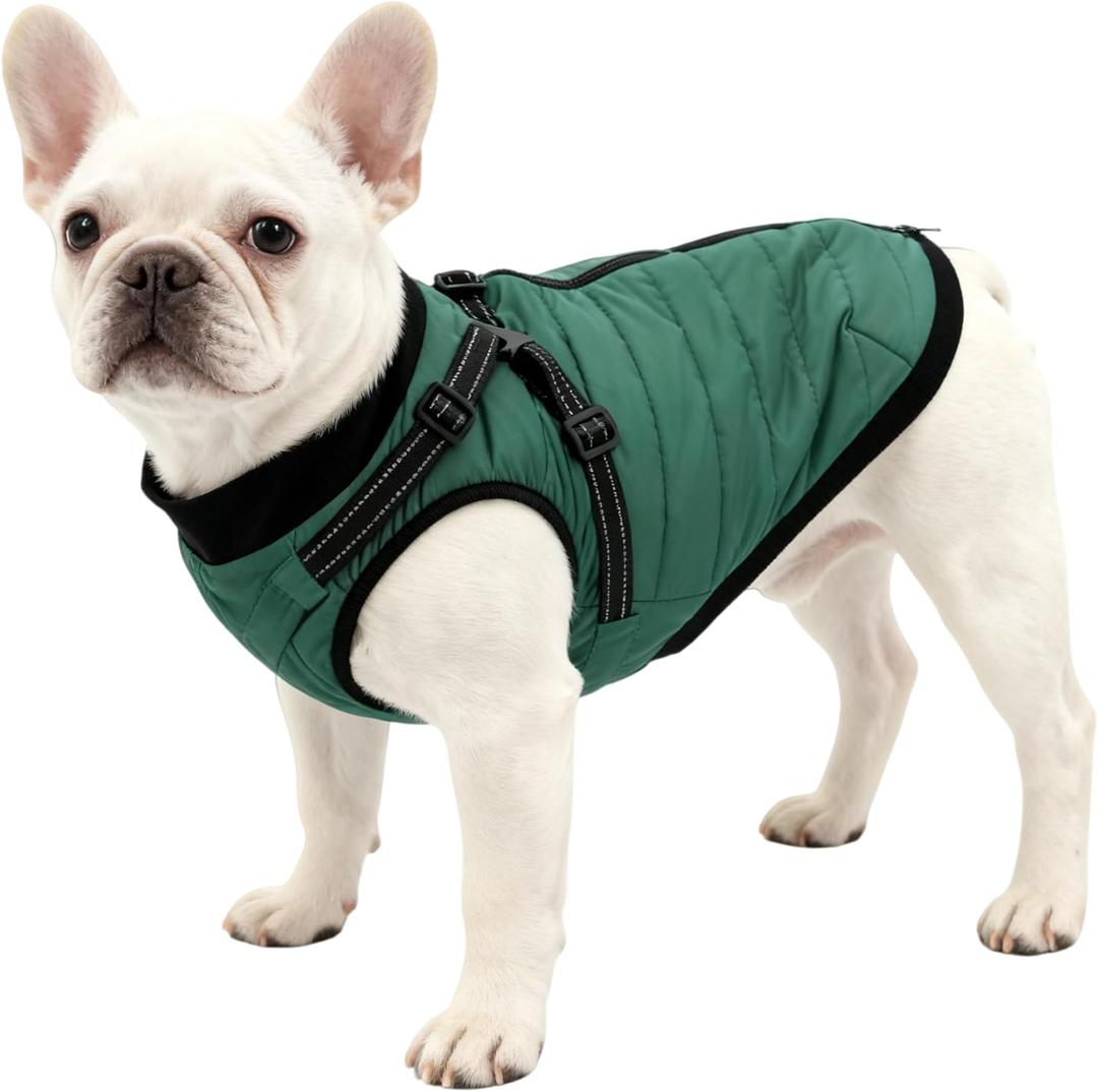 Dog Winter Coat with Hurns Built in, Dog Winter Jacket for Small, Medium, and Large Dogs, Water-Resistant?Windproof - Green - S